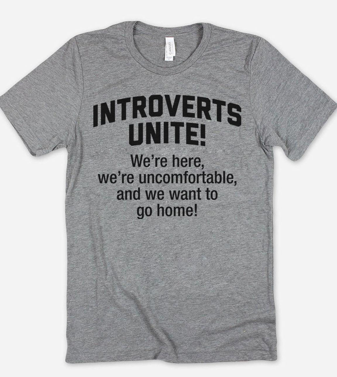 Introverts Unite. We're Here, We're Uncomfortable And Want To Go Home - T-Shirt - House of Rodan