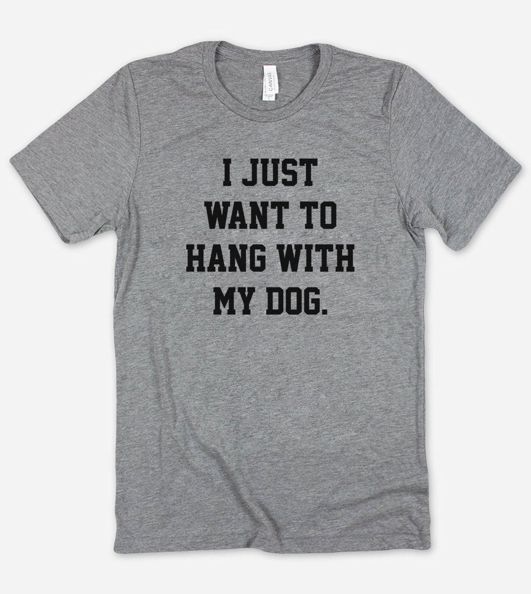 I Just Want To Hang With My Dogs - T-Shirt