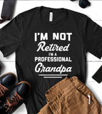 I'm Not Retired, I'm A Professional Grandpa - T-Shirt