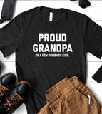 Proud Grandpa Of A Few Dumbass Kids - T-Shirt
